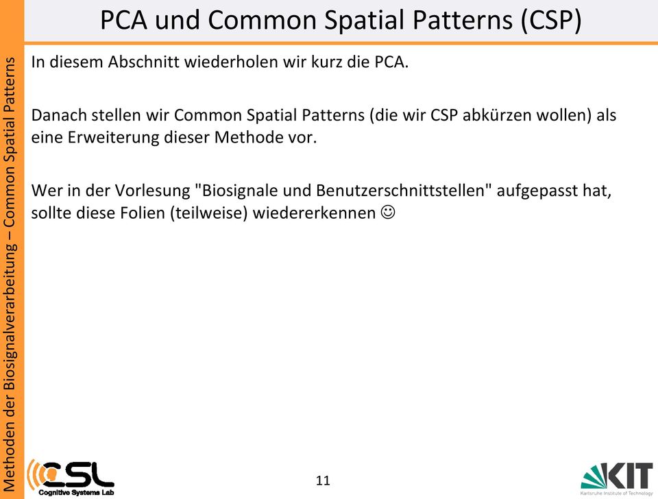 Danach stellen wir Common Spatial Patterns (die wir CSP abkürzen wollen) als eine