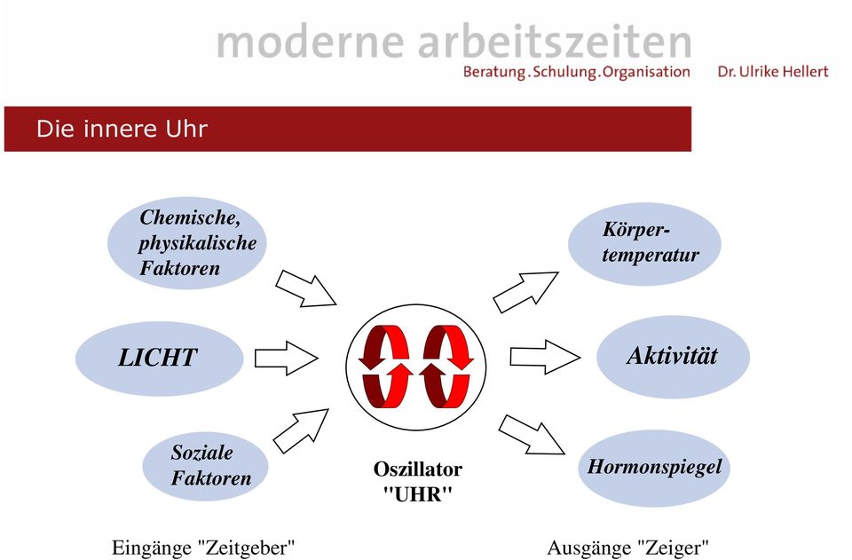 Soziale Faktoren Eingänge "Zeitgeber"