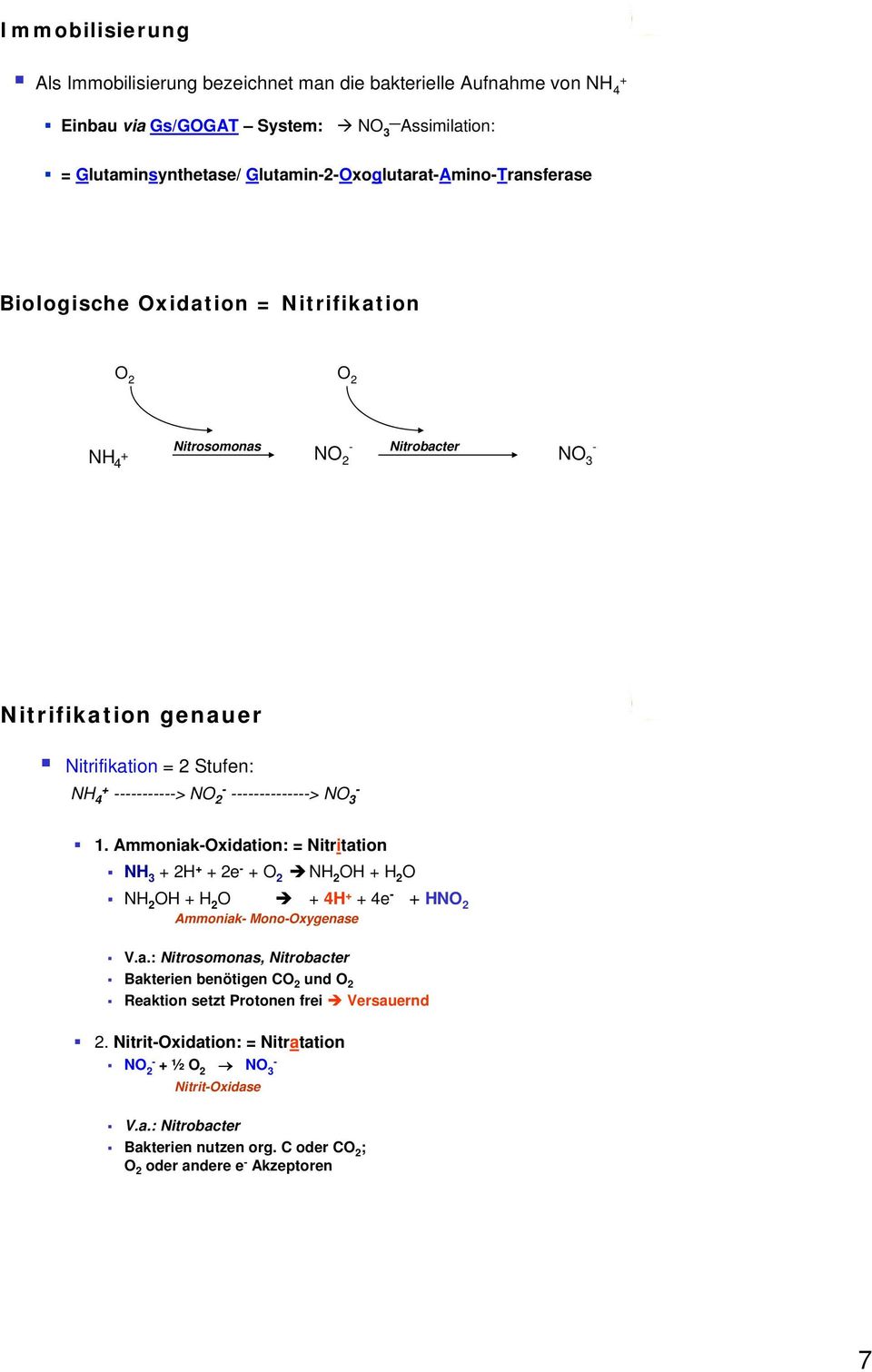 > N 2 > N 3 1. Ammoniakxidation: = Nitritation NH 3 2H 2e 2 NH 2 H H 2 NH 2 H H 2 4H 4e HN 2 Ammoniak Monoxygenase V.a.: Nitrosomonas, Nitrobacter Bakterien benötigen C 2 und 2 Reaktion setzt Protonen frei Versauernd 2.