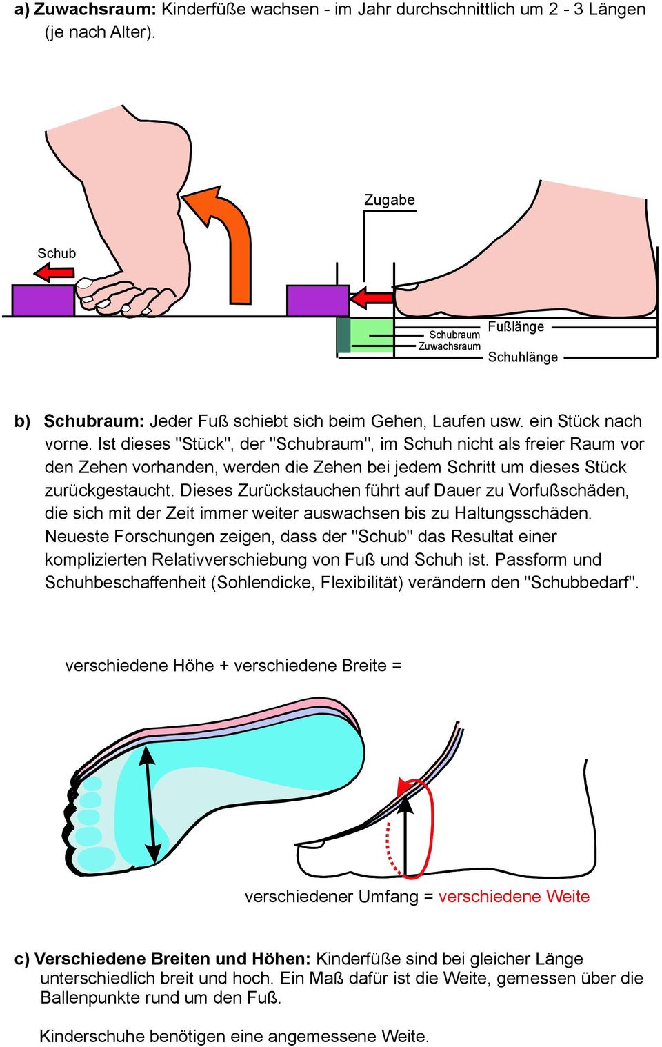 Ist dieses "Stück", der "Schubraum", im Schuh nicht als freier Raum vor den Zehen vorhanden, werden die Zehen bei jedem Schritt um dieses Stück zurückgestaucht.