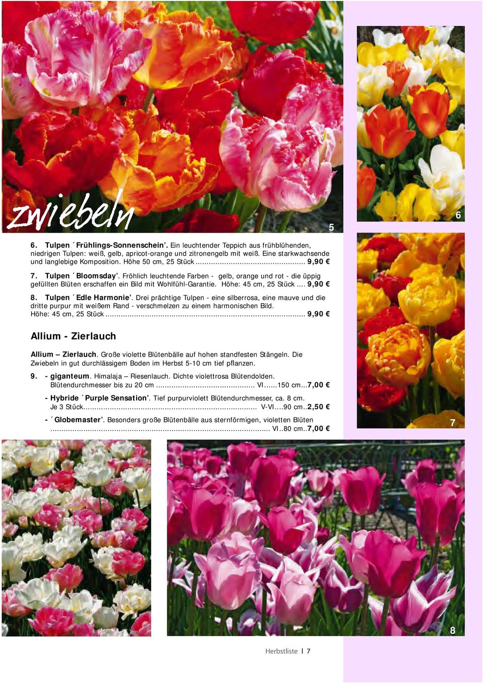 .. 9,90 8. Tulpen Edle Harmonie. Drei prächtige Tulpen - eine silberrosa, eine mauve und die dritte purpur mit weißem Rand - verschmelzen zu einem harmonischen Bild. Höhe: 45 cm, 25 Stück.
