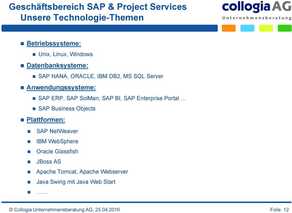 SAP Enterprise Portal SAP Business Objects Plattformen: SAP NetWeaver IBM WebSphere Oracle Glassfish JBoss