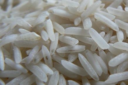Beispiel Reiskorn Wo kommen