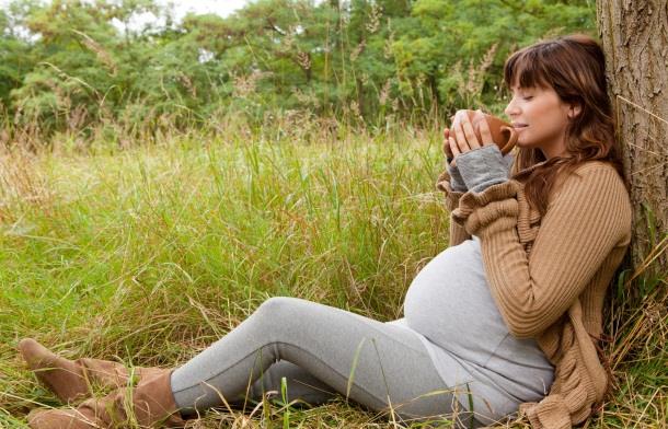 Herausforderung mit großen Chancen Schwangere Frauen befassen sich bewusster mit ihrer Gesundheit lassen sich einfacher von positivem Essverhalten überzeugen (Bot et al.