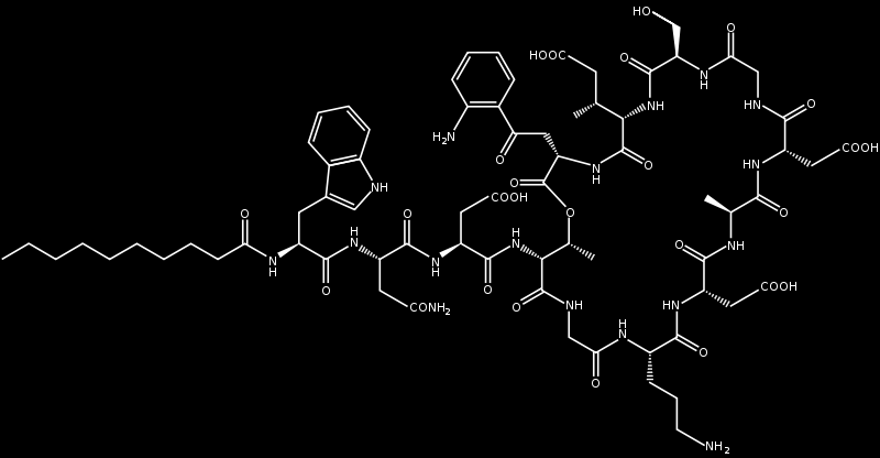 Daptomycinresistenz in MRSA/VRE aus NRZ-Einsendungen Daptomycin ist ein zyklisches Lipopetid mit bakterizider Wirkung wirkt auf die Zellmembran Resistenzen resultieren aus Veränderungen der Struktur