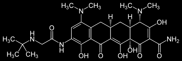 Tigecyclin und Tigecyclin-Resistenz Tetracyclin-Derivat zugelassen seit 11/2007 Bakteriostatisch, inhibiert Proteinbiosynthese Resistenz 1. Tigecyclin-resistanter E.