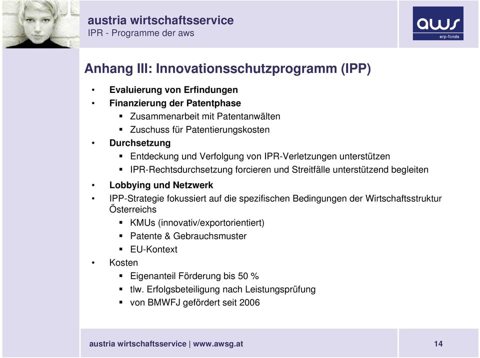 unterstützend begleiten Lobbying und Netzwerk IPP-Strategie fokussiert auf die spezifischen Bedingungen der Wirtschaftsstruktur Österreichs KMUs