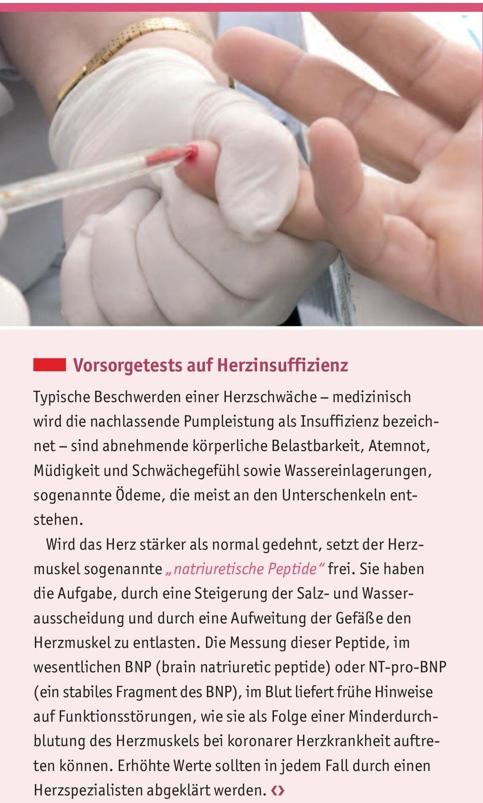 Wird das Herz stärker als normal gedehnt, setzt der Herzmuskel sogenannte natriuretische Peptide frei.