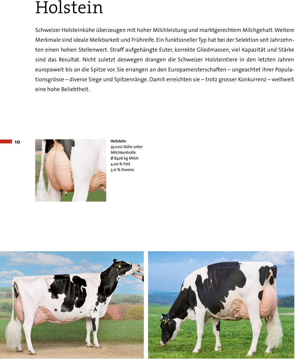 Nicht zuletzt deswegen drangen die Schweizer Holsteintiere in den letzten Jahren europaweit bis an die Spitze vor.