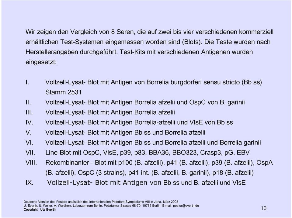 Vollzell-Lysat- Blot mit Antigen Borrelia afzelii und OspC von B. garinii III. Vollzell-Lysat- Blot mit Antigen Borrelia afzelii IV.