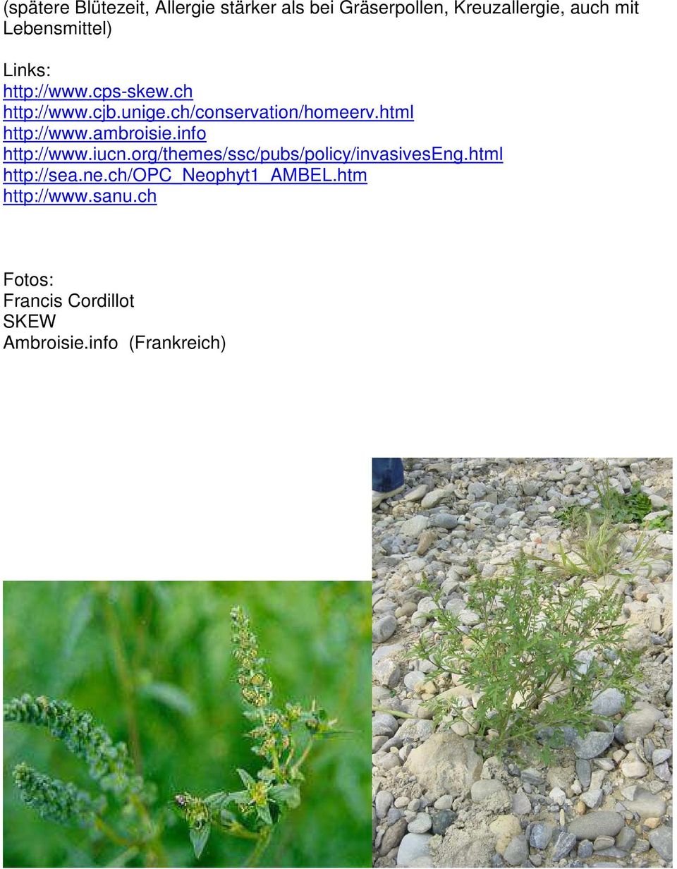 html http://www.ambroisie.info http://www.iucn.org/themes/ssc/pubs/policy/invasiveseng.