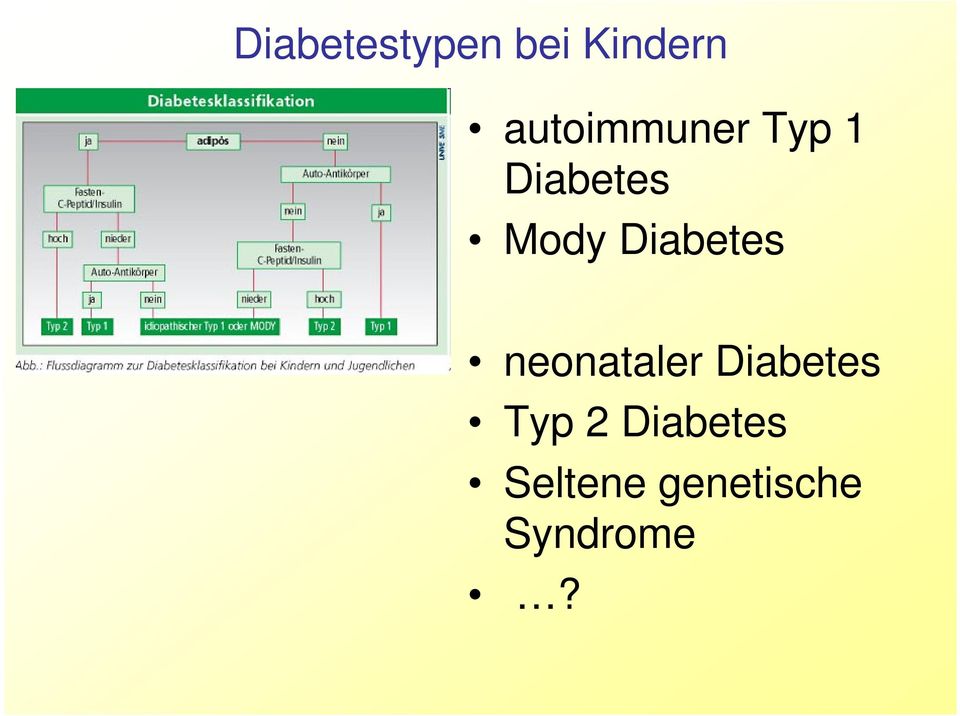 Diabetes neonataler Diabetes Typ