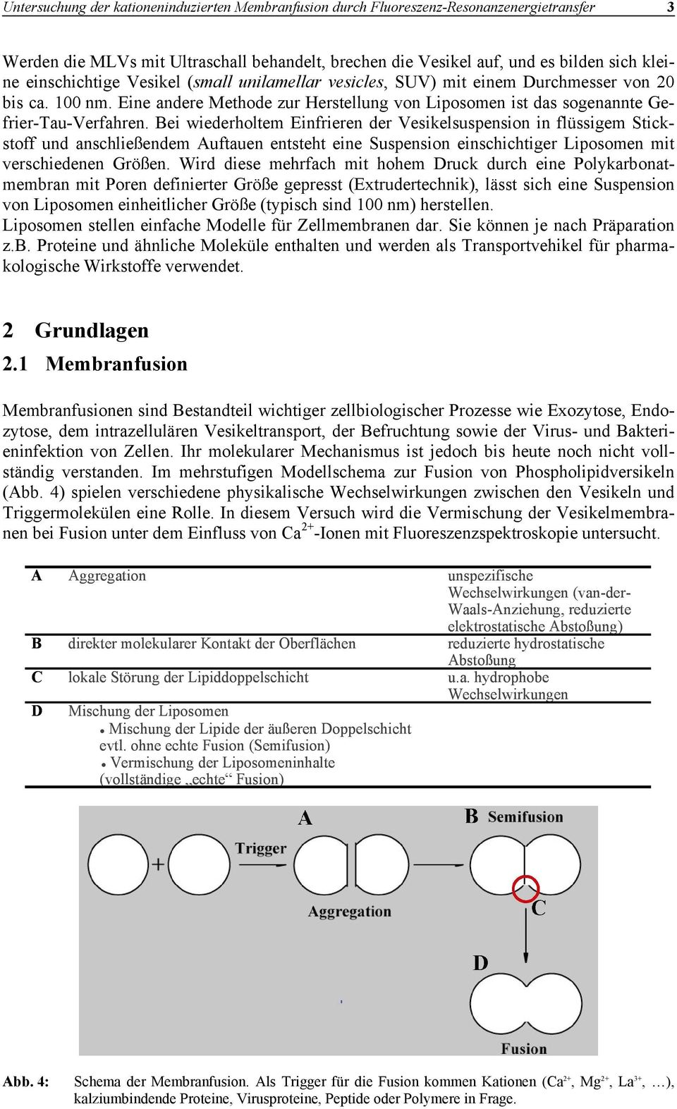 Bei wiederholtem Einfrieren der Vesikelsuspension in flüssigem Stickstoff und anschließendem Auftauen entsteht eine Suspension einschichtiger Liposomen mit verschiedenen Größen.