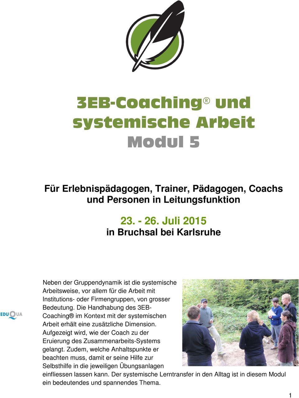 Die Handhabung des 3EB- Coaching im Kontext mit der systemischen Arbeit erhält eine zusätzliche Dimension.