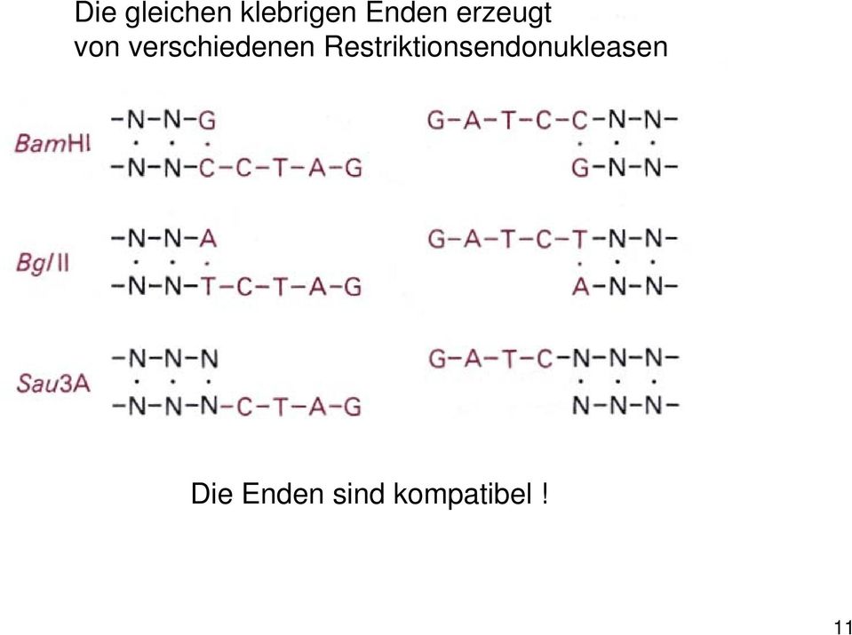 verschiedenen