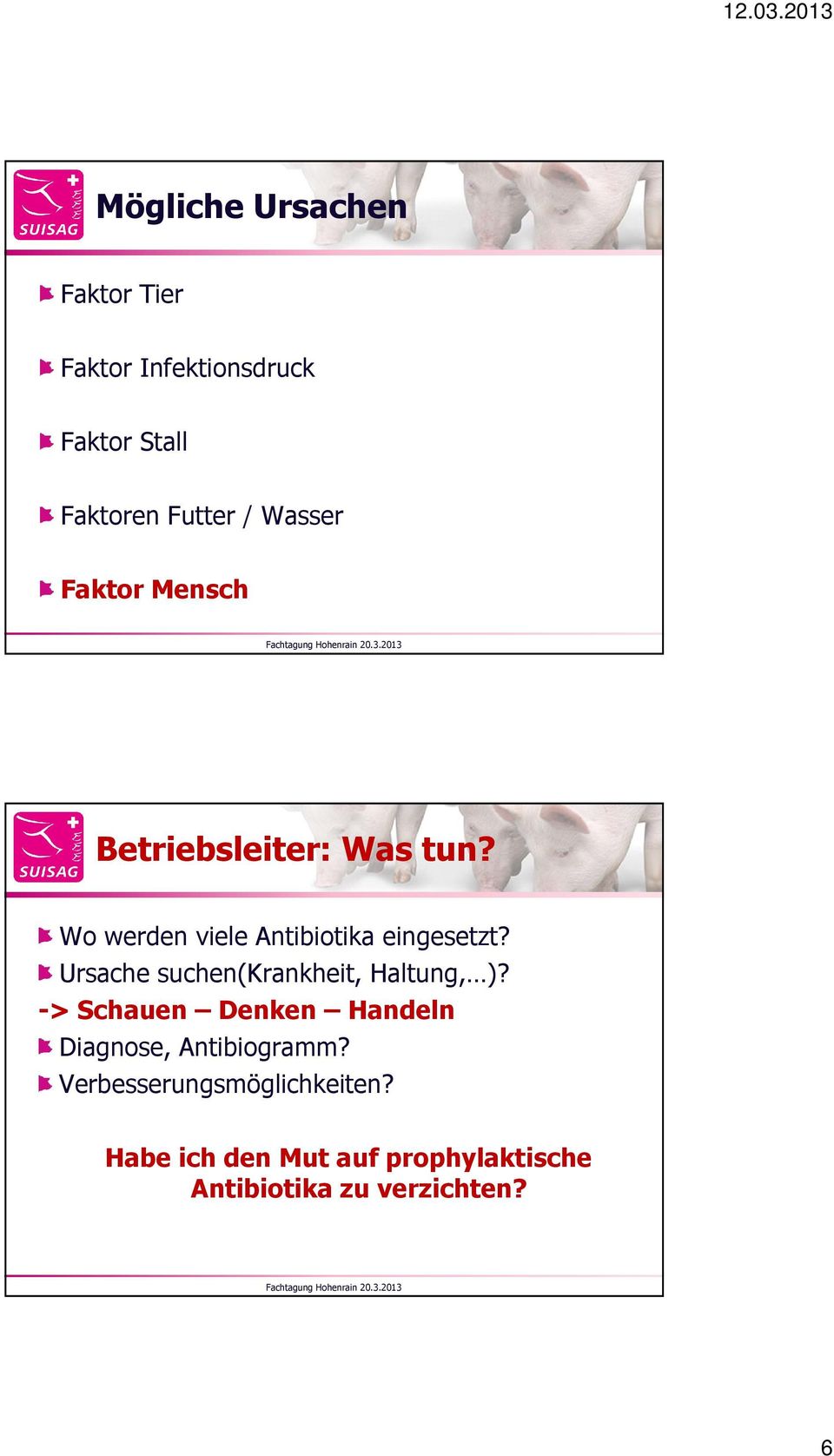 Ursache suchen(krankheit, Haltung, )? -> Schauen Denken Handeln Diagnose, Antibiogramm?