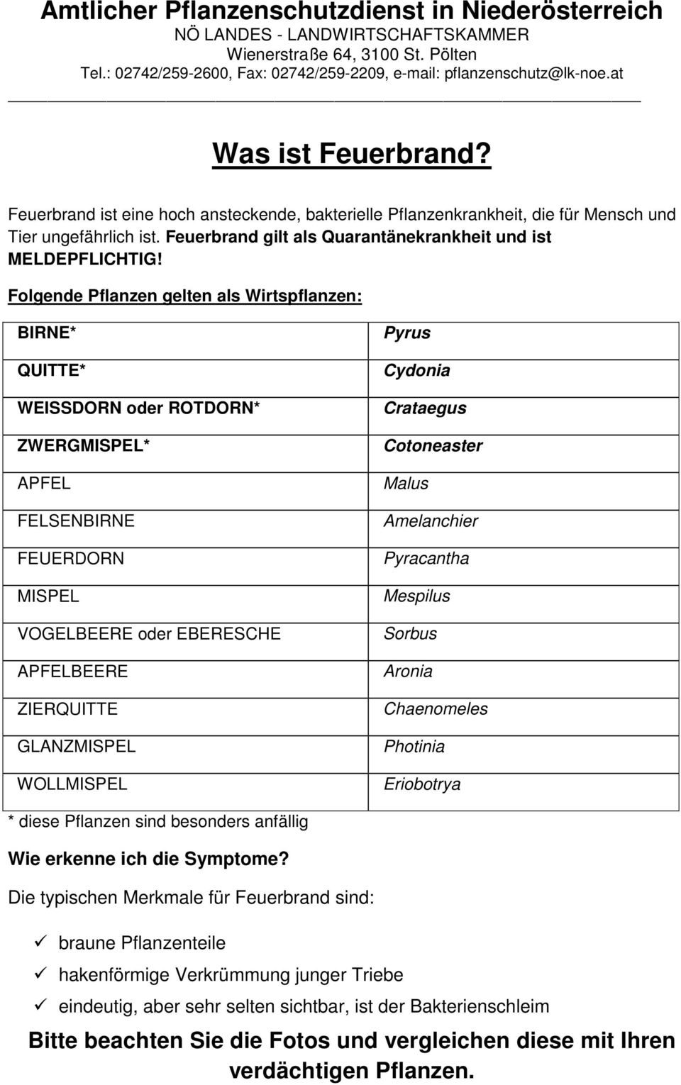 Folgende Pflanzen gelten als Wirtspflanzen: BIRNE* QUITTE* WEISSDORN oder ROTDORN* ZWERGMISPEL* APFEL FELSENBIRNE FEUERDORN MISPEL VOGELBEERE oder EBERESCHE APFELBEERE ZIERQUITTE GLANZMISPEL