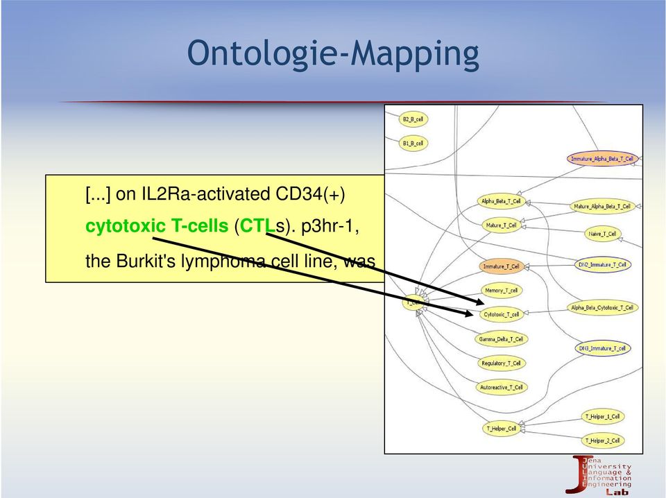 cytotoxic T-cells (CTLs).