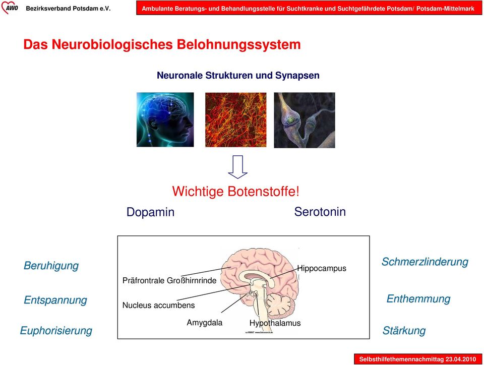 Serotonin Beruhigung Präfrontrale Großhirnrinde Hippocampus
