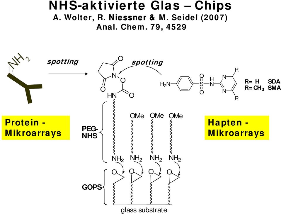 O H N N N R R R= H SDA R=CH 3 SMA Protein - Mikroarrays PEG- NHS OMe OMe