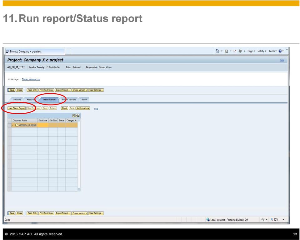 report 2013 SAP