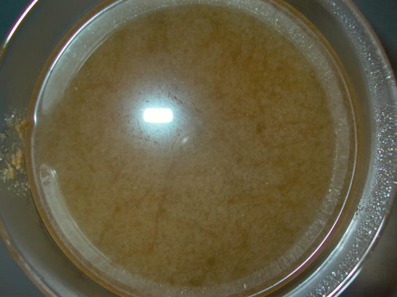 Bénard-Experiment 10 Glasschüssel (flach) Miso-Suppe (instant) Heißes Wasser Betrachten Sie Ihre Miso-Suppe! Beobachten Sie die Strömungen in der Suppe!