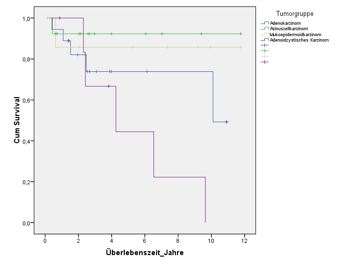 Abbildung 16: Krankheitsspezifisches Überleben der vier häufigsten malignen Tumorgruppen In Abbildung 16 wird die Überlebenswahrscheinlichkeit der vier häufigsten Tumorgruppen der Studie dargestellt.