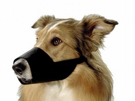 Maulkorbmodelle Nicht geeignet: Softmaulkörbe Hund kann nicht hecheln und