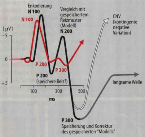 Variante Frequenz-Training Trainingsvarianten ADHS Verringerung langsamer Aktivität