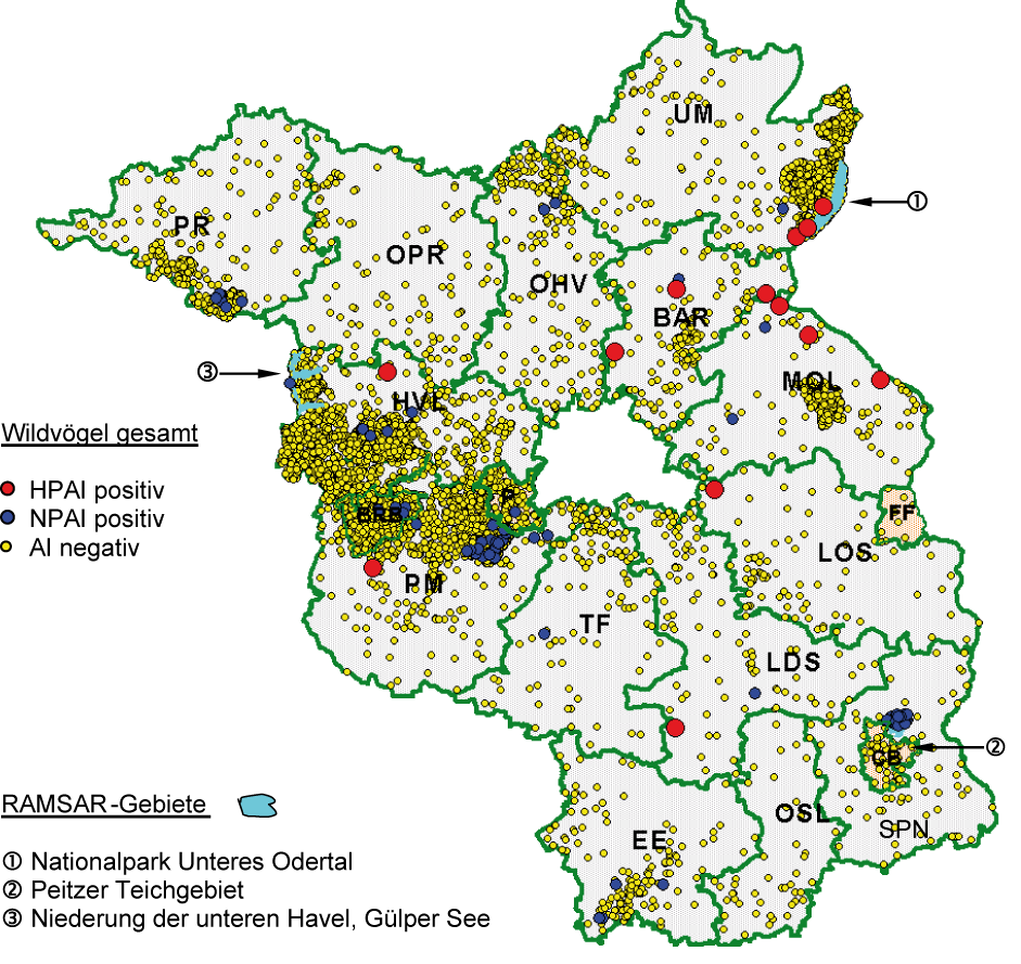 Ergebnisse 63 Abbildung 9: Regionale Verteilung der Beprobungsorte des Wildvogelmonitorings 2006-2010 in Brandenburg mit Angaben zu NPAIV- und HPAIV-Befunden (BAR, Landkreis (LK) Barnim; BRB, Stadt