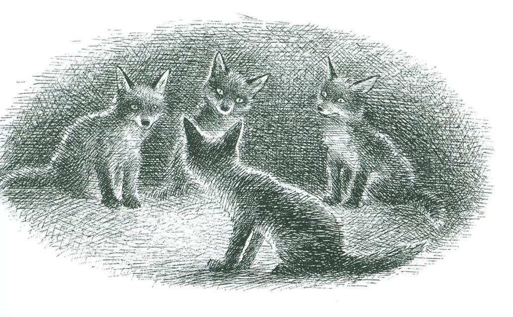 Kapitel 4: Die Fuchskinder (AB 1) Die Gedanken der kleinen Füchse benennen 1.