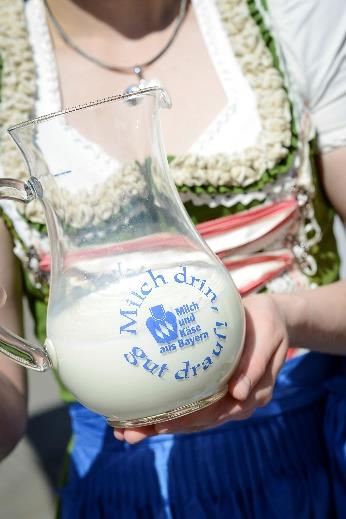 gesunden Snacks zu einer ausgewogenen Ernährung beitragen?