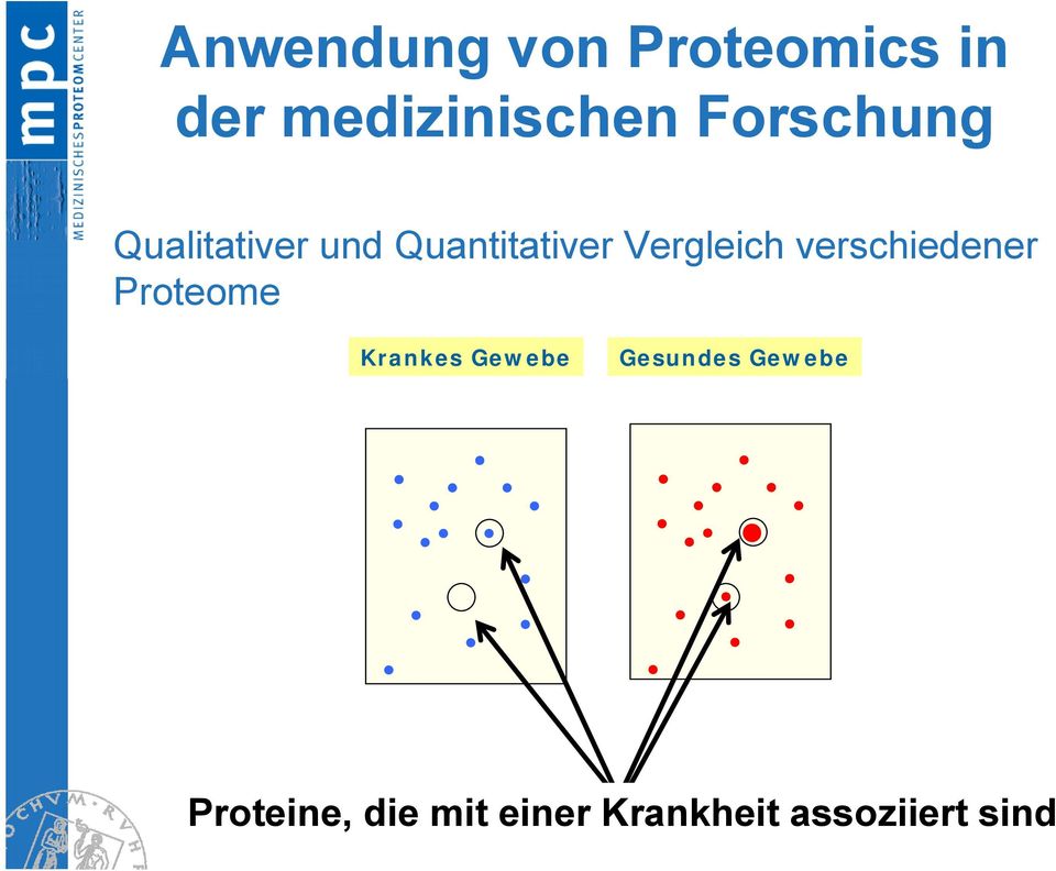 Vergleich verschiedener Proteome Krankes Gewebe