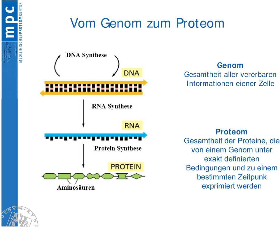 Proteine, die von einem Genom unter exakt definierten