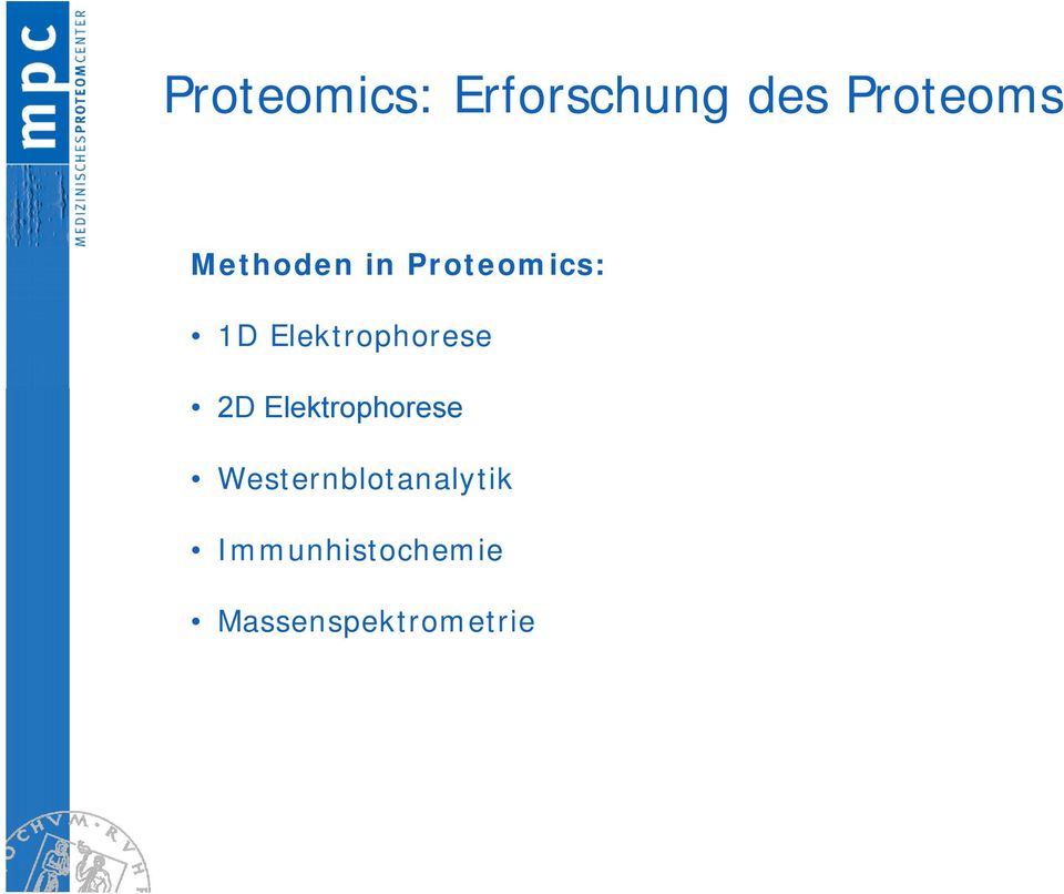 Elektrophorese 2D Elektrophorese