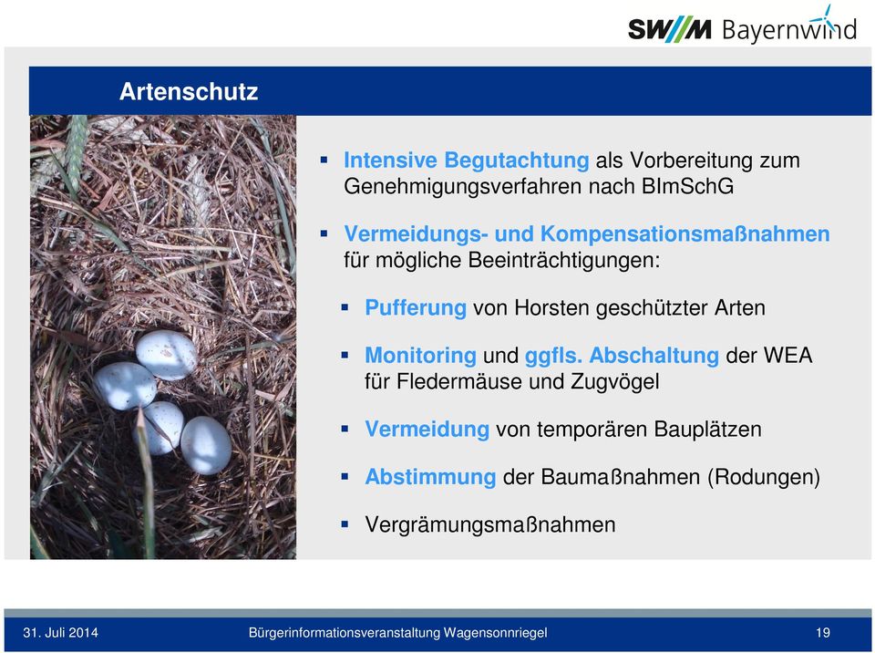 Horsten geschützter Arten Monitoring und ggfls.