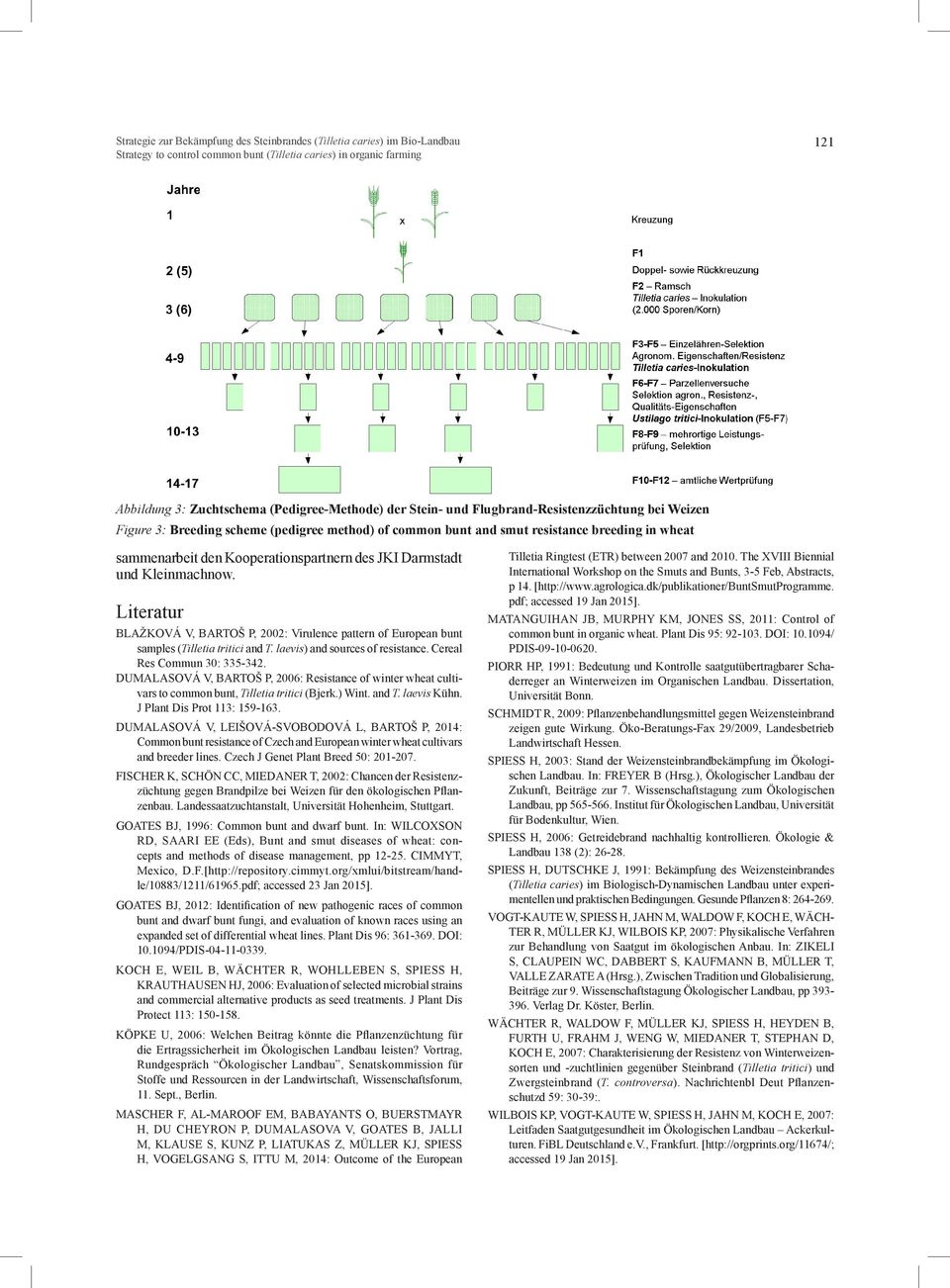 Literatur BLAŽKOVÁ V, BARTOŠ P, 2002: Virulence pattern of European bunt samples (Tilletia tritici and T. laevis) and sources of resistance. Cereal Res Commun 30: 335-342.