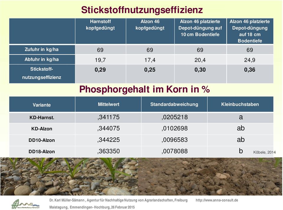 20,4 24,9 Stickstoffnutzungseffizienz 0,29 0,25 0,30 0,36 Phosphorgehlt im Korn in % Vrinte Mittelwert Stndrdbweichung