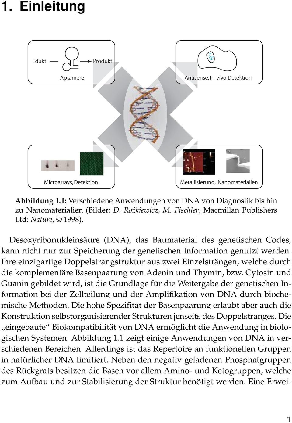 Desoxyribonukleinsäure (DA), das Baumaterial des genetischen Codes, kann nicht nur zur Speicherung der genetischen Information genutzt werden.