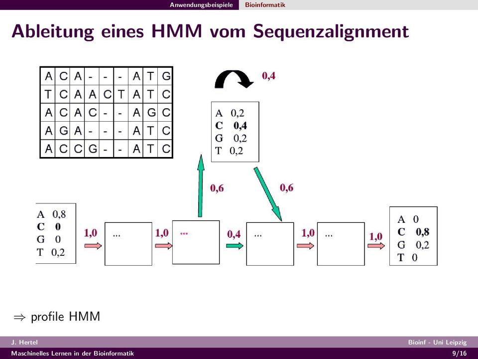 HMM vom Sequenzalignment profile