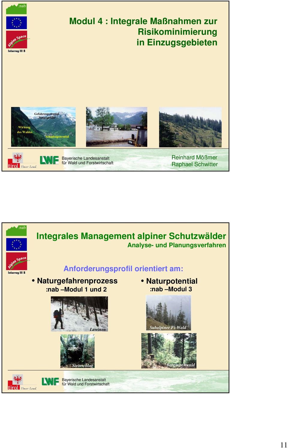 Management alpiner Schutzwälder Analyse- und Planungsverfahren Anforderungsprofil orientiert am: Naturgefahrenprozess :nab Modul 1