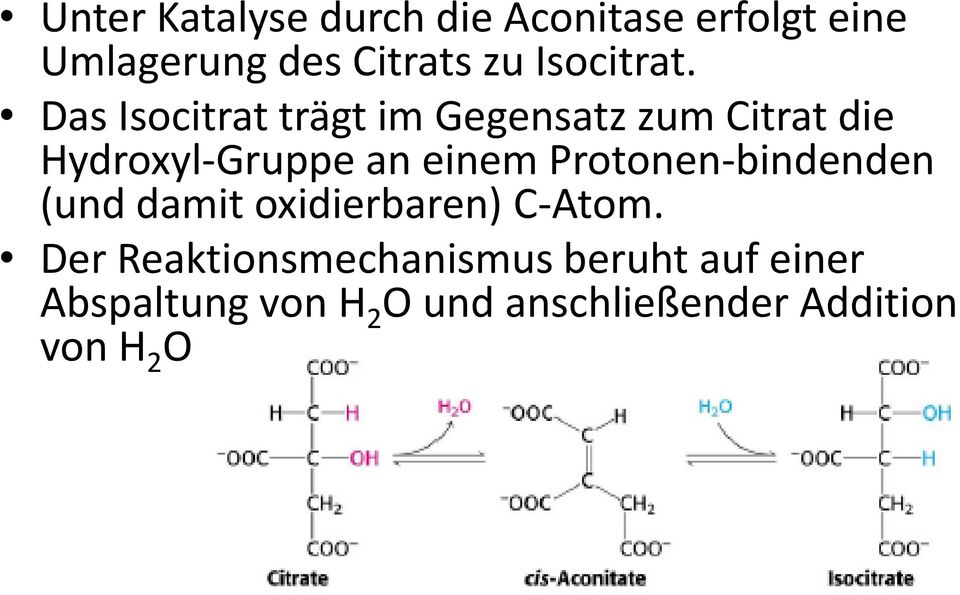 Das Isocitrat trägt im Gegensatz zum Citrat die Hydroxyl-Gruppe an einem