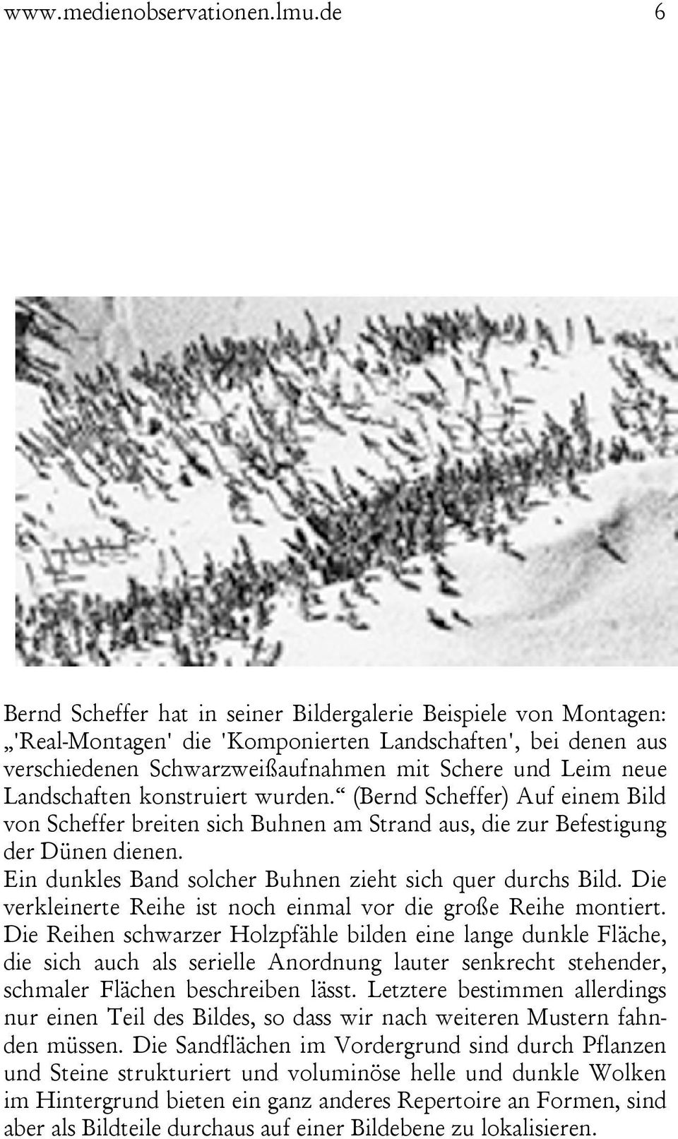 Landschaften konstruiert wurden. (Bernd Scheffer) Auf einem Bild von Scheffer breiten sich Buhnen am Strand aus, die zur Befestigung der Dünen dienen.