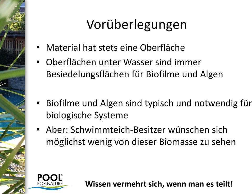 und Algen sind typisch und notwendig für biologische Systeme Aber: