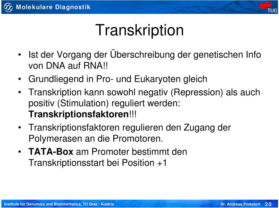 positiv (Stimulation) reguliert werden: Transkriptionsfaktoren!