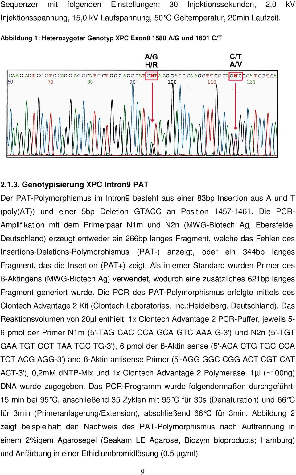 Genotypisierung XPC Intron9 PAT Der PAT-Polymorphismus im Intron9 besteht aus einer 83bp Insertion aus A und T (poly(at)) und einer 5bp Deletion GTACC an Position 1457-1461.