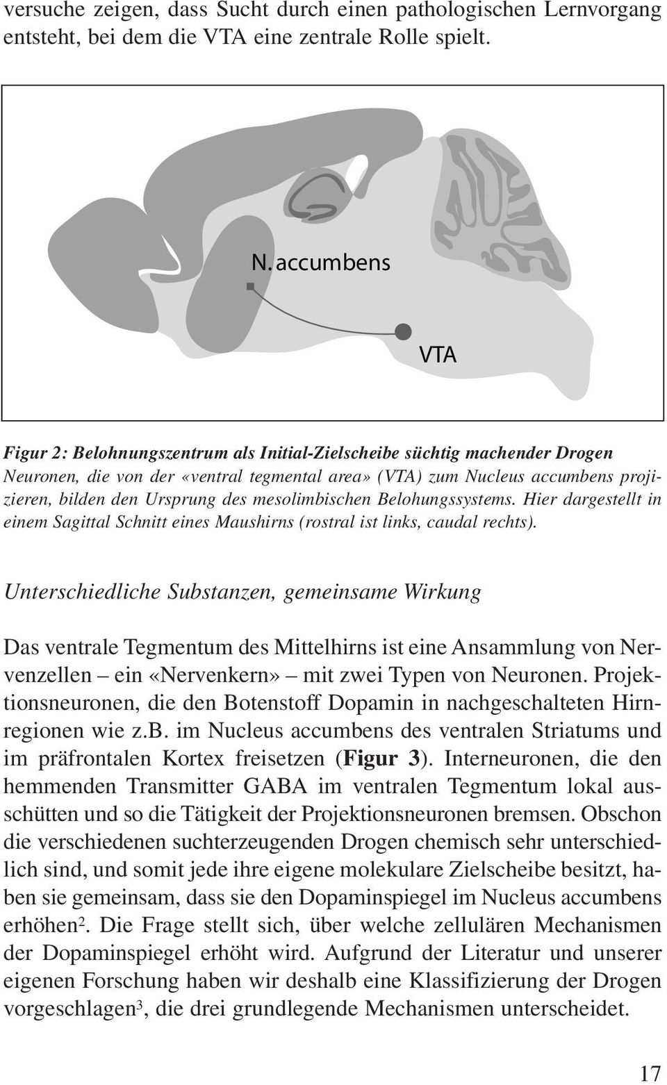 Ursprung des mesolimbischen Belohungssystems. Hier dargestellt in einem Sagittal Schnitt eines Maushirns (rostral ist links, caudal rechts).