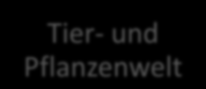 Klimatologie & Indien Seite 11 von 12 Karma 7 DIE DREI HAUPTGÖTTER KENNEN Brahma Vishnu Shiva DAS SCHEMA DER WIEDERGEBURT AUFZEICHNEN UND BESCHREIBEN KÖNNEN Tod Wiedergeburt Brahmanen Kshatriyas