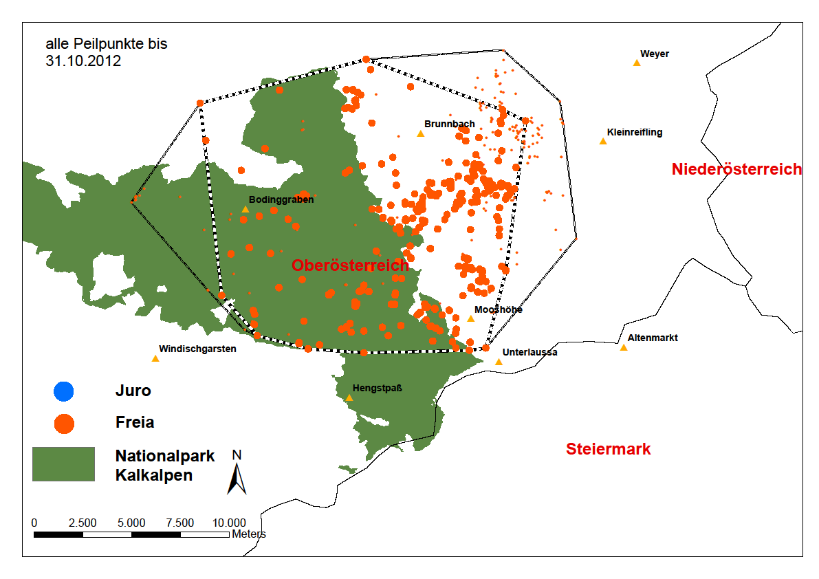 Abb. 3: Streifgebiet von Freia im Jahr 2012 besenderter Luchs Juro Der seit 13. Dezember 2011 umgesiedelte mehrjährige Kuder hat 2012 ein Streifgebiet von ~32.600 Hektar etabliert.