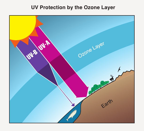 Die stratosphärische Ozonschicht schützt